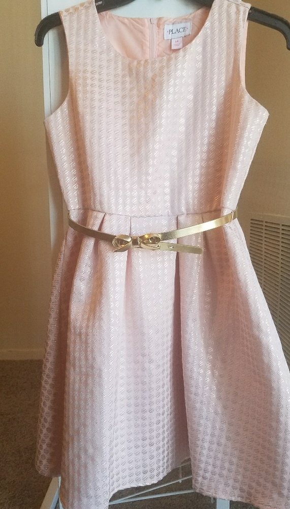 Girl's beautiful pink with gold belt dress 14